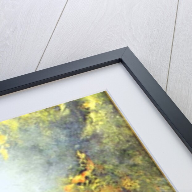 Romance, 1995 by Hannibal Mane