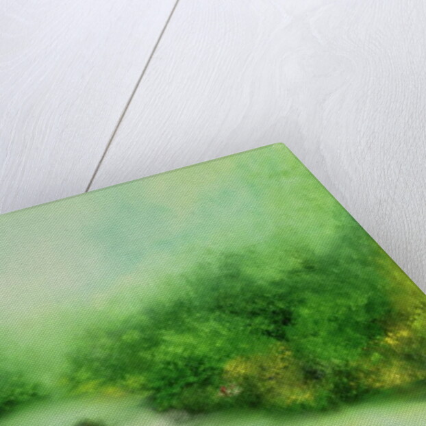 Nature Symphony, 1991 by Hannibal Mane