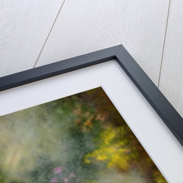 The Tibetan Monk, 1989 by Hannibal Mane