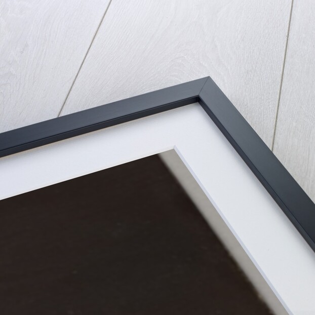 Still life with pear by Samuel W. Fuller