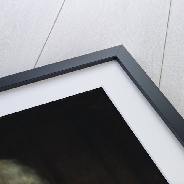 Charles Fox, 1869 by George Peter Alexander Healy