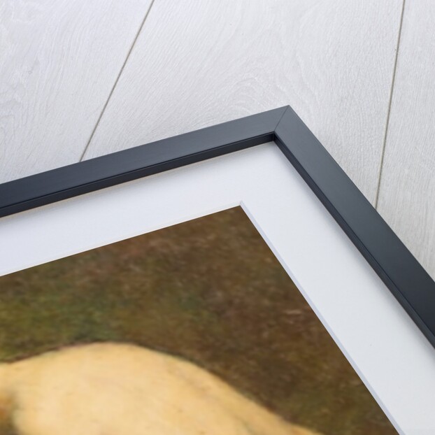 Nude by Warren B. Davis