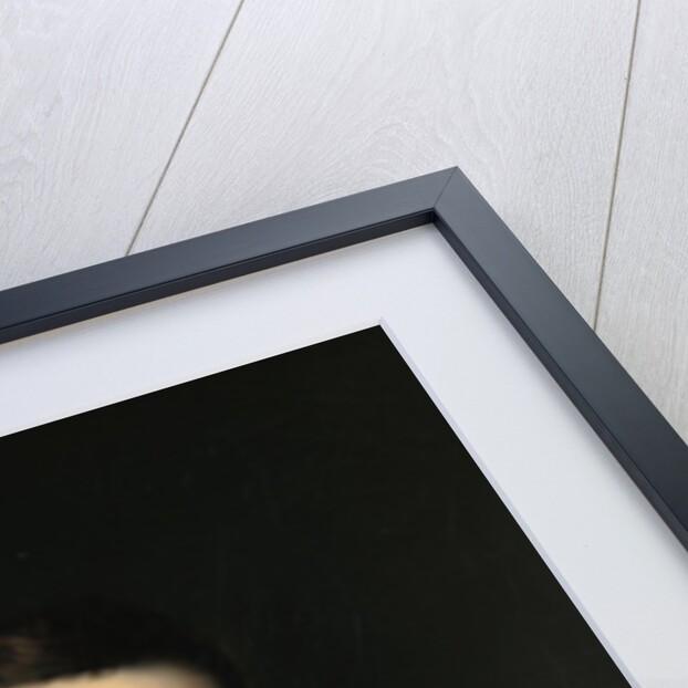 Mr. Hiram Hall of Portland, Maine, c.1839 by William Matthew Prior