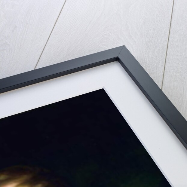 William Blair, c.1814 by Henry Raeburn