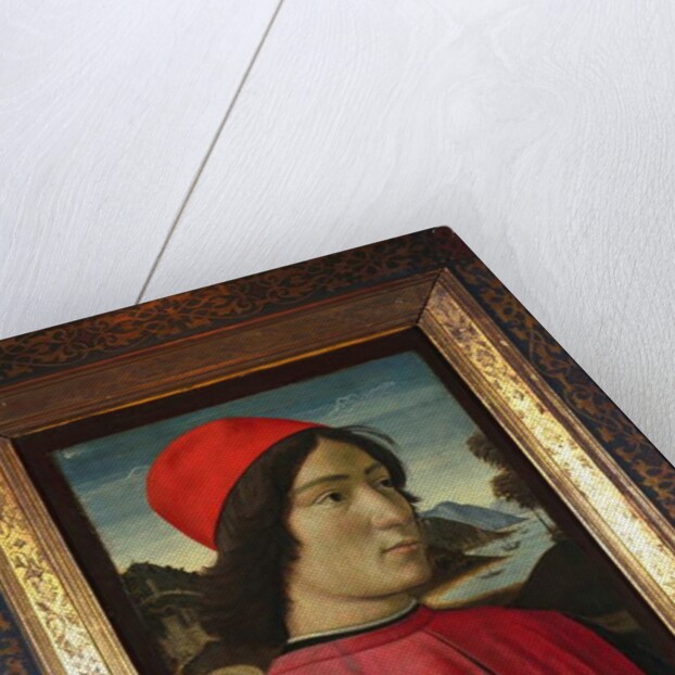 Portrait of a man, c.1490 by Domenico Ghirlandaio