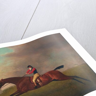 Baronet with Sam Chifney Up, 1791 by George Stubbs