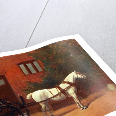 Horse hitched to a jaunting cart by English School