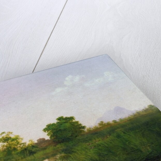 A sounder of warthogs in Sindolia Tank, Nasirabad Khandesh by Lt.-Colonel George Dudley Carleton