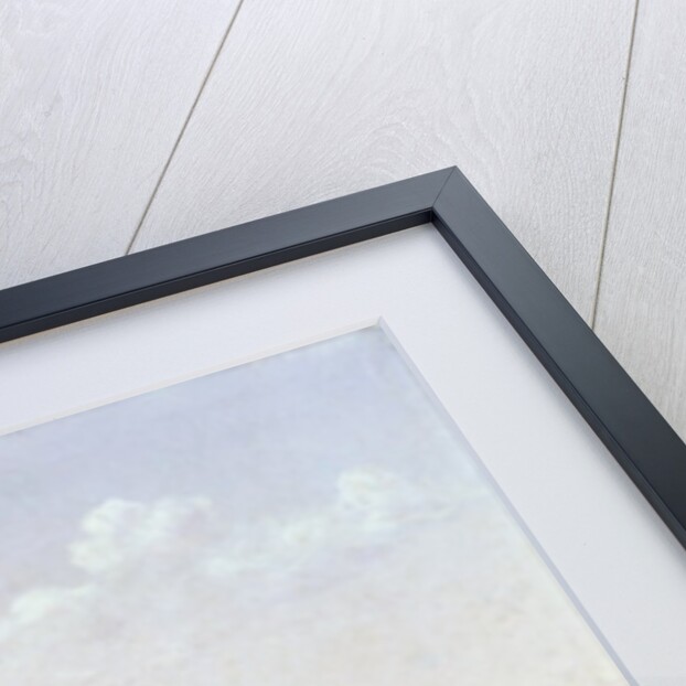 A sounder of warthogs in Sindolia Tank, Nasirabad Khandesh by Lt.-Colonel George Dudley Carleton