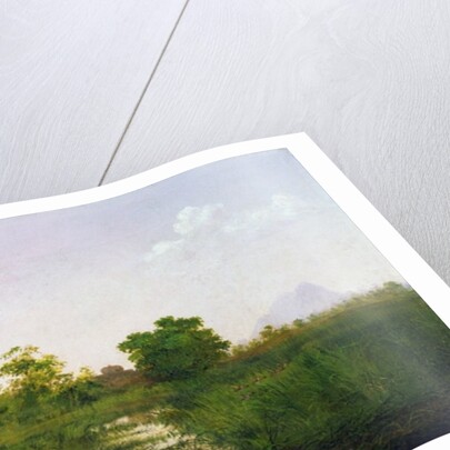 A sounder of warthogs in Sindolia Tank, Nasirabad Khandesh by Lt.-Colonel George Dudley Carleton