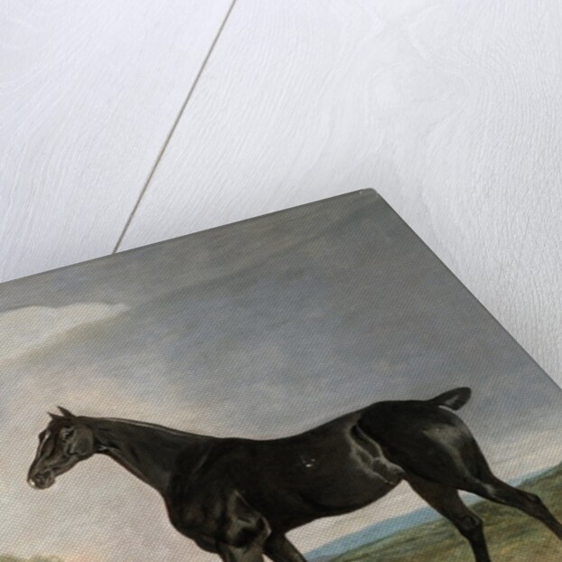 A dark bay horse and a terrier in a landscape by Edwin Cooper
