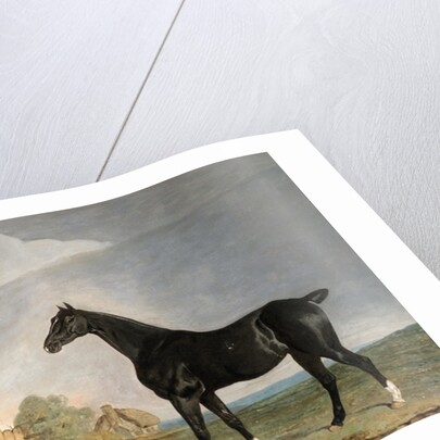 A dark bay horse and a terrier in a landscape by Edwin Cooper