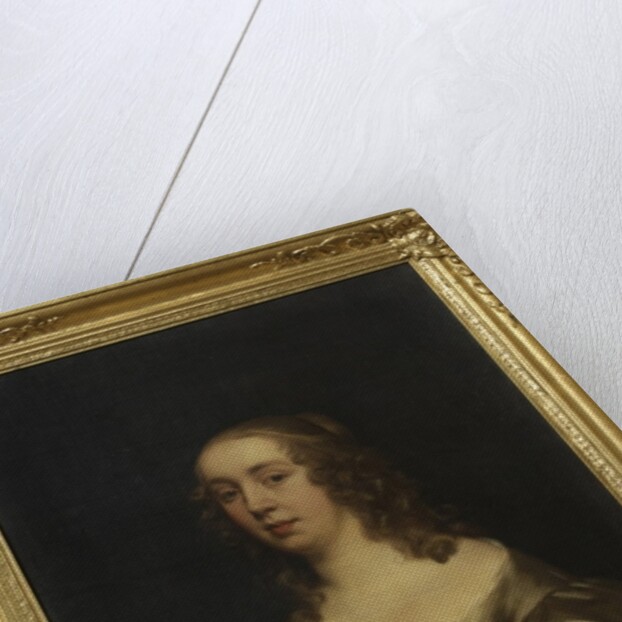 Portrait of a lady by John Hayls