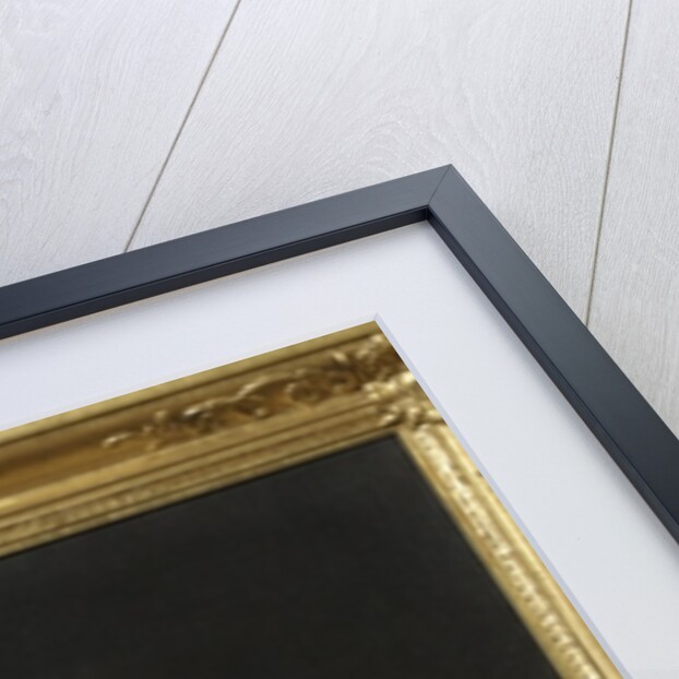 Portrait of a lady by John Hayls