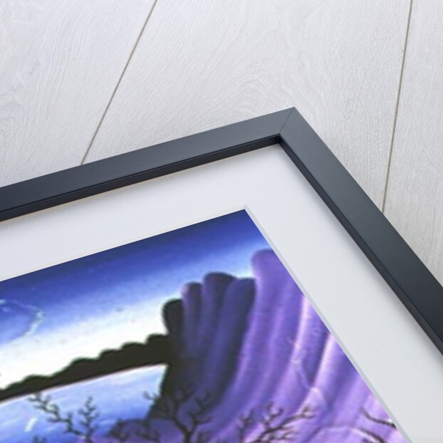 Halloween, 1979 by Herbert Hofer