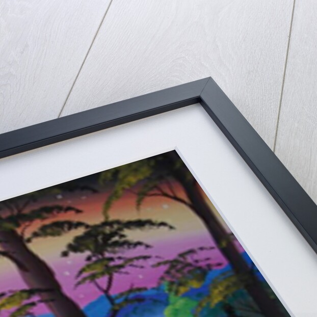 Castle, Germany by Herbert Hofer