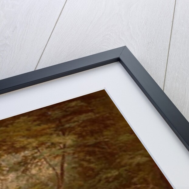 North Conway, New Hampshire, 1852 by Samuel Lancaster Gerry