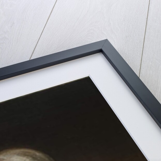 Portrait of Cornelia Van Horn Lansdale, c.1820 by Rembrandt Peale