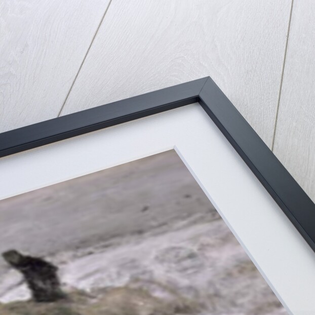 Flock of Sheep in the Snow by Anton Mauve
