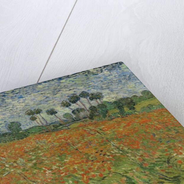 Field of Poppies, Auvers-sur-Oise, 1890 by Vincent van Gogh