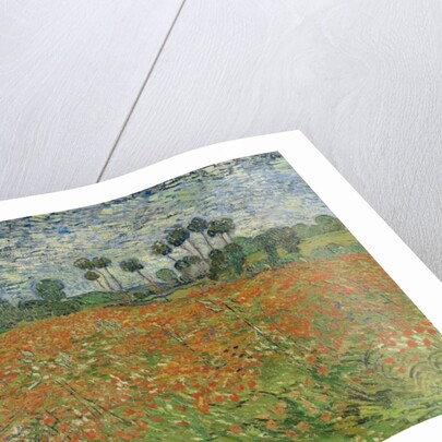 Field of Poppies, Auvers-sur-Oise, 1890 by Vincent van Gogh