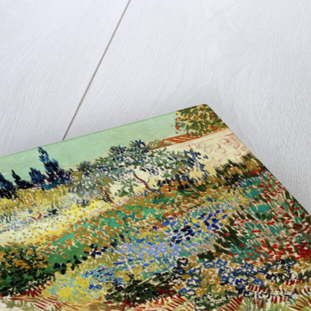 The Garden at Arles, 1888 by Vincent van Gogh