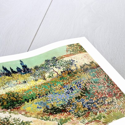 The Garden at Arles, 1888 by Vincent van Gogh