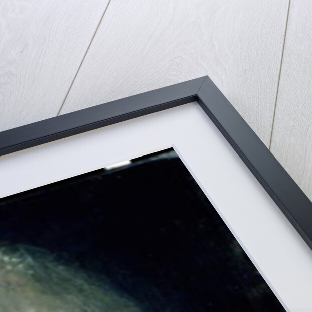 The Bride, or Novice taking the Veil, c.1887 by Matthijs Maris