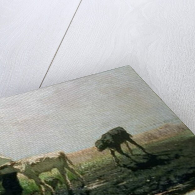 Calves at a Pond, 1863 by Willem Maris