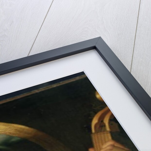 The Viola da Gamba Player by Dutch School