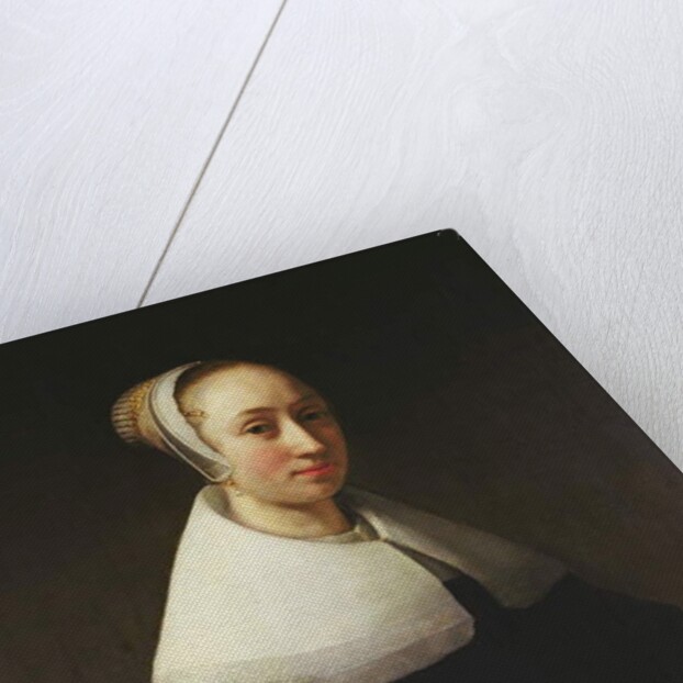 Portrait of a lady, 1653 by Willem Drost