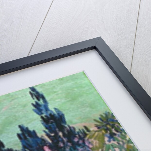 The Garden at Arles, detail of the cypress trees, 1888 by Vincent van Gogh