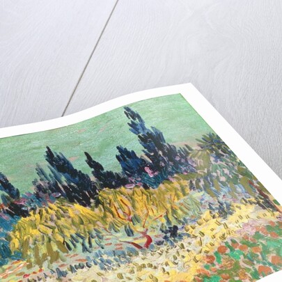 The Garden at Arles, detail of the cypress trees, 1888 by Vincent van Gogh