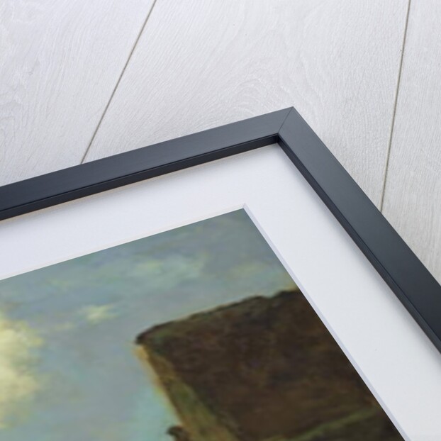 Noorden, near Nieuwkoop, 1901 by Johannes Hendrik Weissenbruch