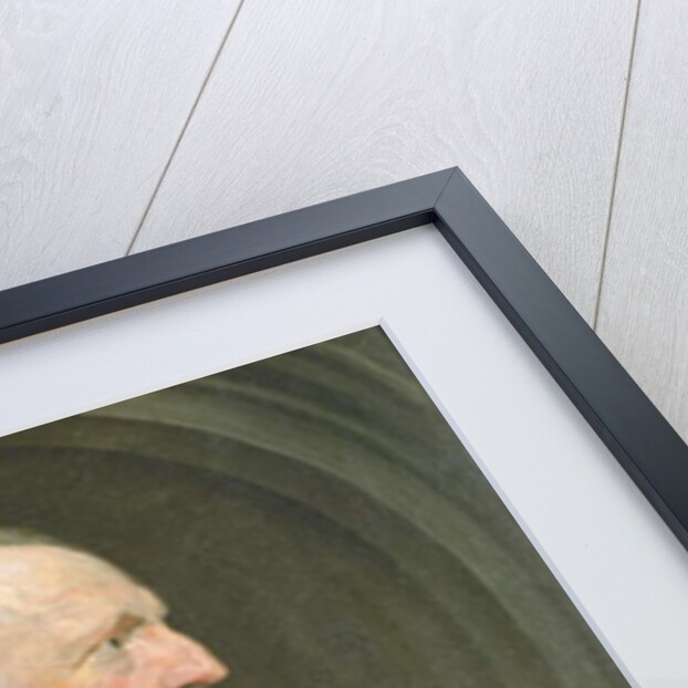 Portrait of a Gentleman by Anthony van Dyck