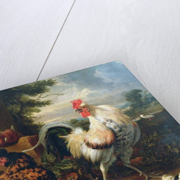 Farmyard fowl by Melchior de Hondecoeter