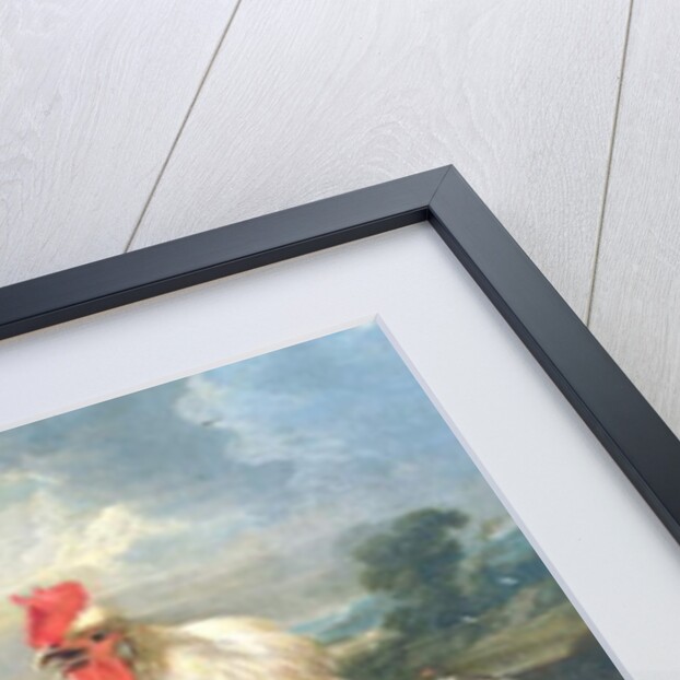 Farmyard fowl by Melchior de Hondecoeter