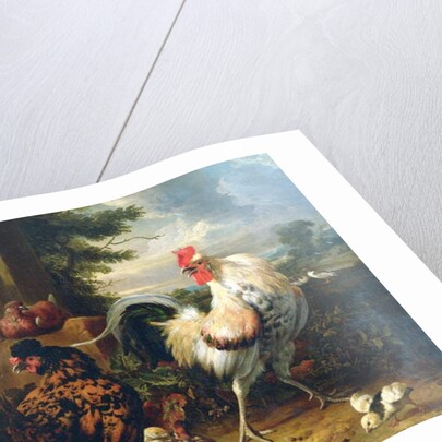 Farmyard fowl by Melchior de Hondecoeter