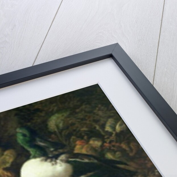 Farmyard ducks by Melchior de Hondecoeter