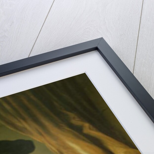 Self Portrait by Ferdinand Bol