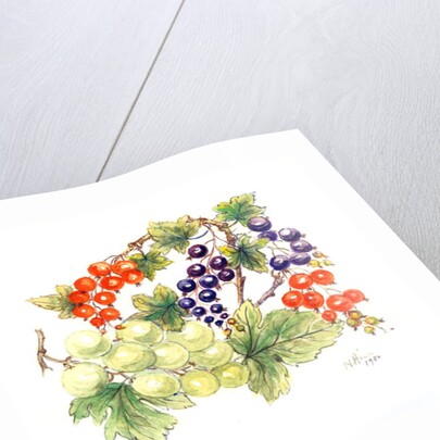 Black and Red Currants with Green Grapes, 1986 by Nell Hill