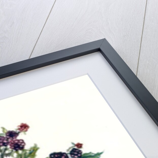 Bramble by Nell Hill