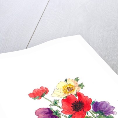 Anemones, 2007 by Nell Hill