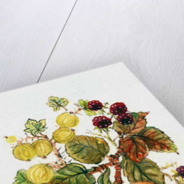 Brambles, Apples and Grapes by Nell Hill