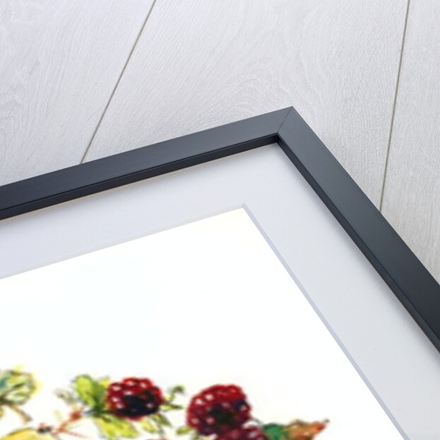 Brambles, Apples and Grapes by Nell Hill