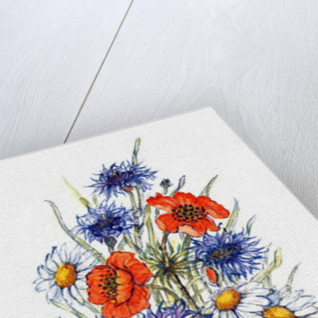 Cornflower, Poppy and Ox-eye Daisy by Nell Hill
