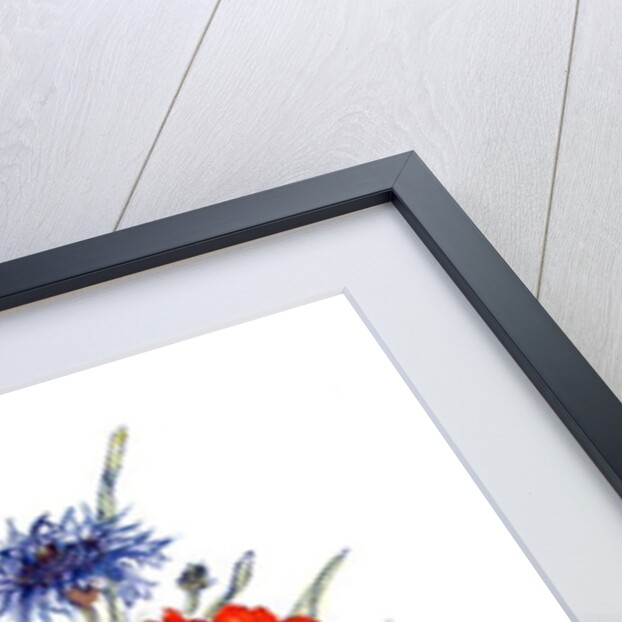 Cornflower, Poppy and Ox-eye Daisy by Nell Hill