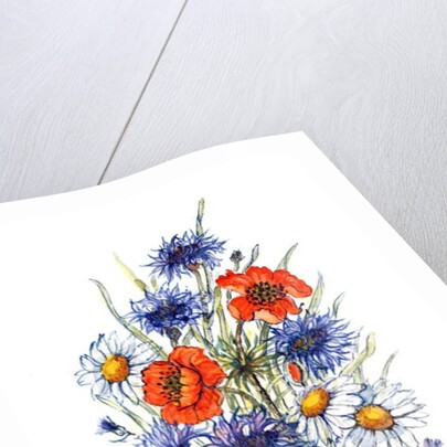 Cornflower, Poppy and Ox-eye Daisy by Nell Hill