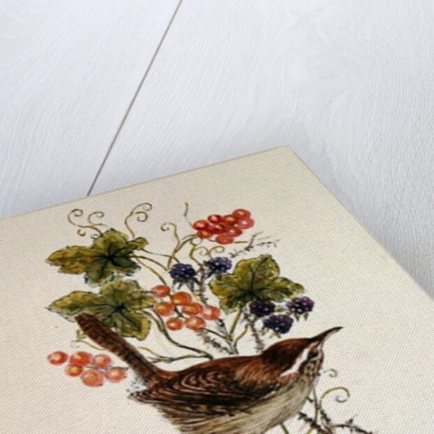 Wren on a spray of berries by Nell Hill