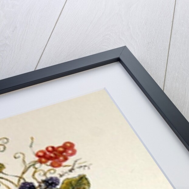 Wren on a spray of berries by Nell Hill